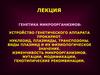 Генетика микроорганизмов: устройство генетического аппарата прокариот. Нуклеоид, плазмиды, транспозоны
