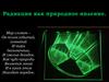 Радиация как природное явление
