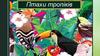 Птахи тропіків. Південна Америка