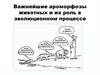 Важнейшие ароморфозы животных и их роль в эволюционном процессе