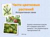 Части цветковых растений