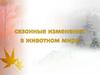 Сезонные изменения в животном мире