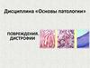 Основы патологии. Повреждения. Дистрофии