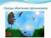 Среды обитания организмов