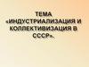 Индустриализация и коллективизация в СССР