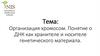 Организация хромосом. Понятие о ДНК как хранителе и носителе генетического материала