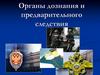 Органы дознания и предварительного следствия