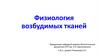 Физиология возбудимых тканей