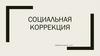 Социальная коррекция