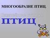 Многообразие птиц