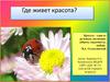 Творческо-познавательный проект "Где живет красота?"