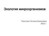 Экология микроорганизмов. Микроорганизмы повсюду