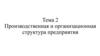 Производственная и организационная структура предприятия. Тема 2