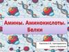 Амины, Аминокислоты. Белки