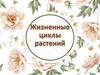 Жизненные циклы растений