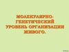 Молекулярно-генетический уровень организации живого