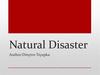 Natural Disaster