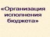 Организация исполнения бюджета  (тема 3)