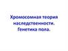Хромосомная теория наследственности. Генетика пола