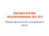 Физиология эндокринных желез. Общая физиология эндокринных желез. Лекция 1