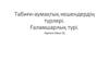 Табиғи - аумақтық кешендердің түрлері
