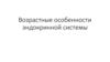 Возрастные особенности эндокринной системы