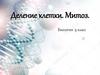 Деление клетки. Митоз. Биология. 9 класс