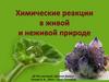 Химические реакции в живой и неживой природе