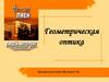 Геометрическая оптика. Прямолинейное распространение света