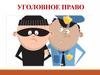 Уголовное право. Общие положения