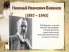 Николай Иванович Вавилов