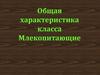 Млекопитающие. Общая характеристика класса