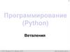 Программирование (Python). Ветвления