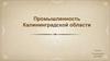 Промышленность Калининградской области