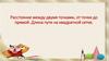 Расстояние между двумя точками, от точки до прямой. Длина пути на квадратной сетке