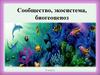 Сообщество, экосистема, биогеоценоз. 9 класс