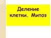 Деление клетки. Митоз