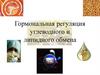 Гормональная регуляция углеводного и липидного обмена