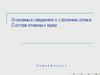 Основные сведения о строении атома. Состав атомных ядер