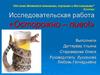 Исследовательская работа «Осторожно – пиво!»