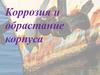 Коррозия и обрастание корпуса