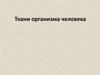 Ткани организма человека