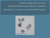 Адаптации паразитов к паразитическому образу жизни в органах и тканях и во внешней среде