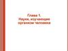 Науки об организме человека  (8 класс)