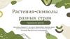 Растения - символы разных стран