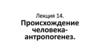 Происхождение человека-антропогенез. Лекция 14