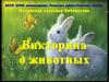 Викторина для малышей о животных
