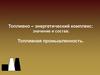 Топливно-энергетический комплекс: значение и состав. Топливная промышленность