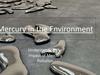 Mercury in the Environment