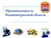 Промышленность Калининградской области